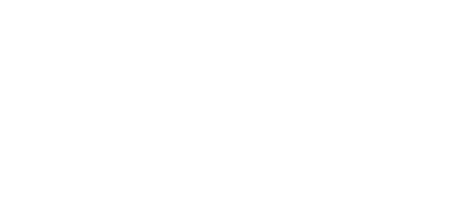 White Orion Prospects logo